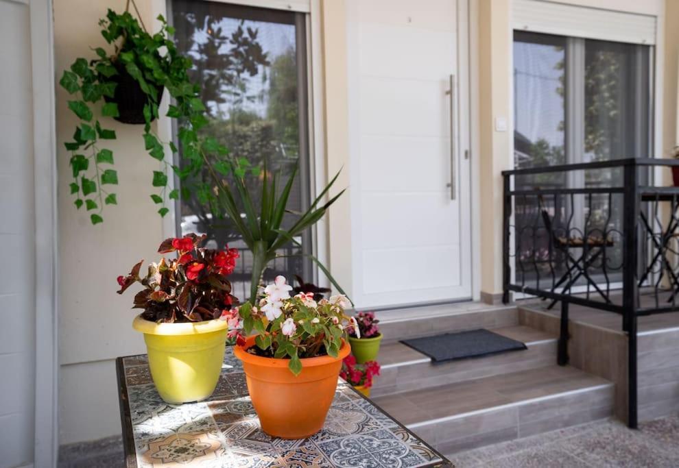 לריסה Elenis Cozy Apartment מראה חיצוני תמונה